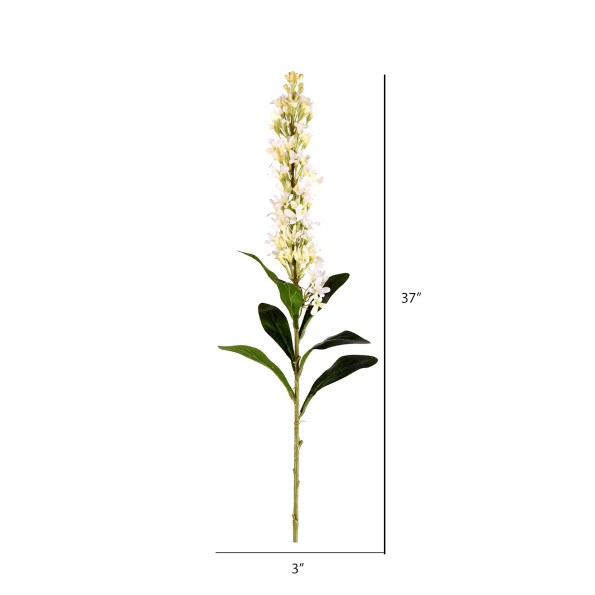 White Hyacinth Stem, 3ct.